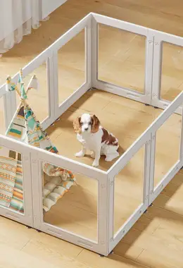 Clear Acrylic Dog Playpen with Door Easy Assemble Pet Fence